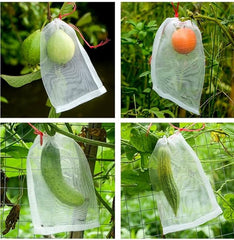 Fruit Protection Garden Mesh Bag 50 pcs