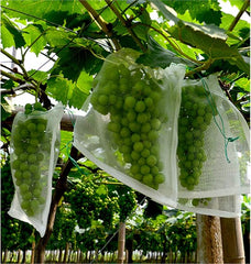 Fruit Protection Garden Mesh Bag 50 pcs
