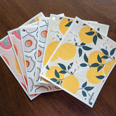 Reusable Paper Towels (Pack of 2)